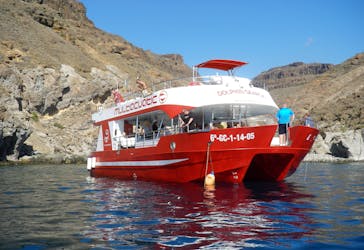 Dolphin Safari Cruise Gran Canaria